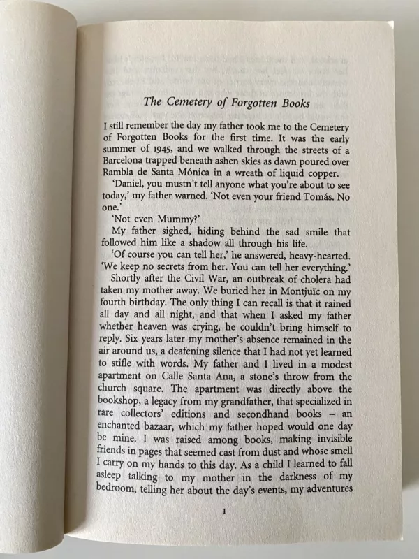 The Shadow of the Wind - Carlos Ruiz Zafon, knyga 5