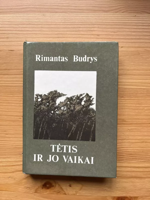Tėtis ir jo vaikai - Rimantas Budrys, knyga 2