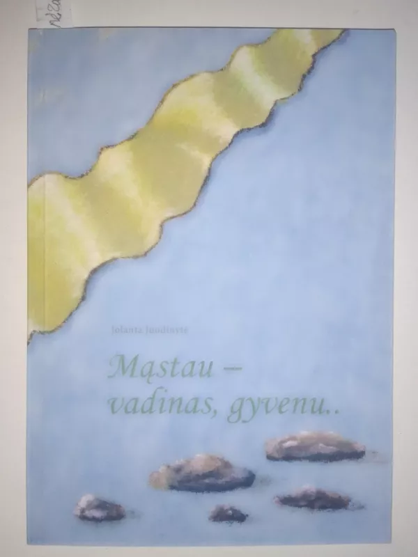 Mąstau - vadinas, gyvenu.. Šimtas minčių eilėsena sugulusių - Jolanta Juodinytė, knyga 2