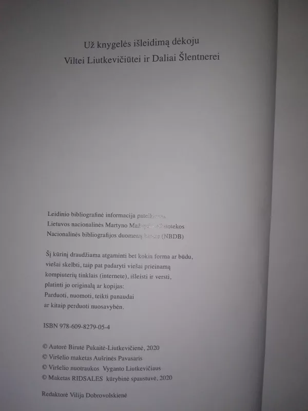 Čia Ilgės pakrantė - Birutė Pukaitė-Liutkevičienė, knyga 4