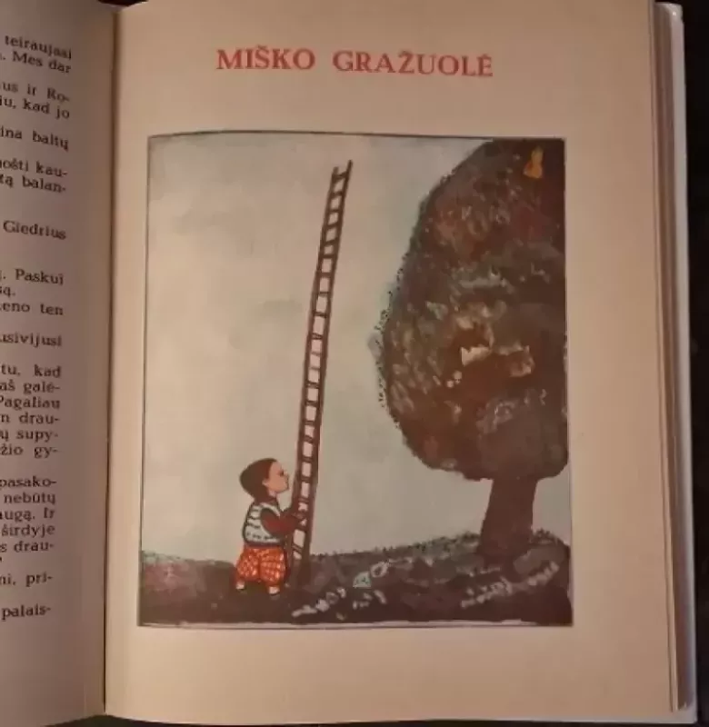 Geltonos ramunės - Aleksas Baltrūnas, knyga 3