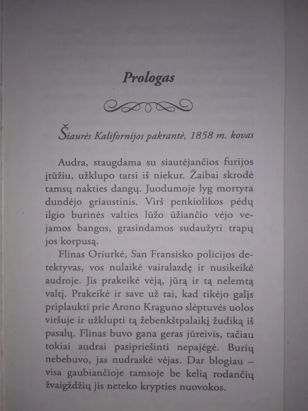 Nepažįstamosios prisilietimas - Elizabeth Lane, knyga 4