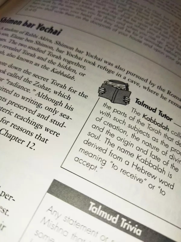 The TALMUD (The Complete Idiot's Guide to the Talmud) - RABBI AARON PARRY, knyga 4