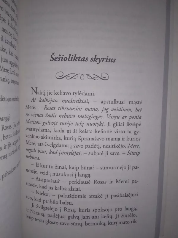 Kur baigsis kelionė? - Carla Kelly, knyga 6