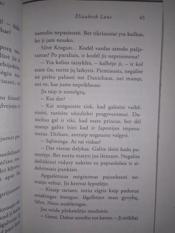 Nepažįstamosios prisilietimas - Elizabeth Lane, knyga 6