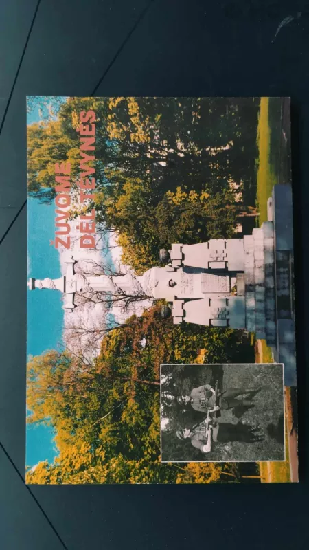 Žuvome dėl Tėvynės - Balys Juknevičius, knyga 2