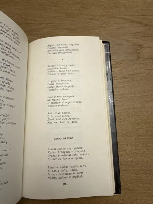 Ir nusinešė saulę miškai - Paulius Širvys, knyga 4