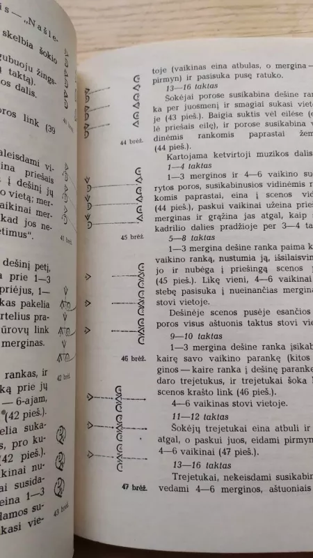 Ant kalno karklai - Kazys Poškaitis, knyga 3