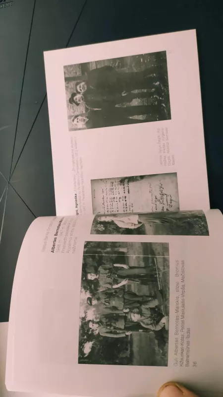 Žuvome dėl Tėvynės - Balys Juknevičius, knyga 3