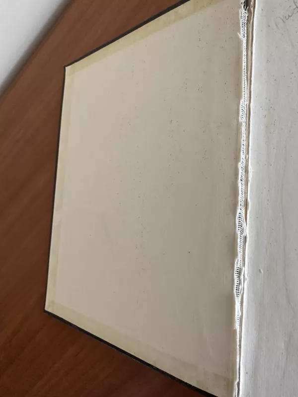 Anglų-Lietuvių kalbų žodynas - A. Laučka, B.  Piersakas, E.  Stasiulevičiūtė, knyga 6