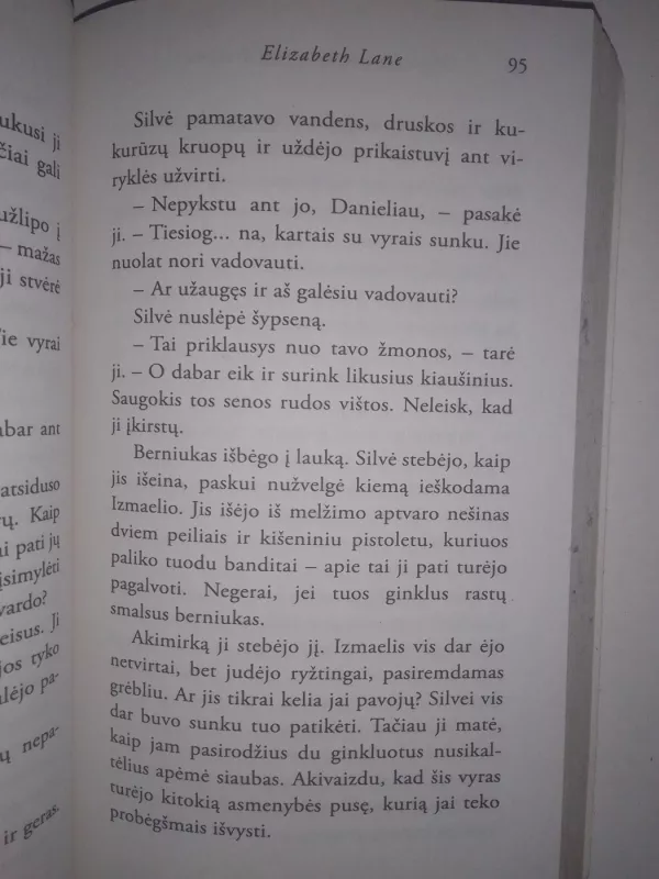 Nepažįstamosios prisilietimas - Elizabeth Lane, knyga 5