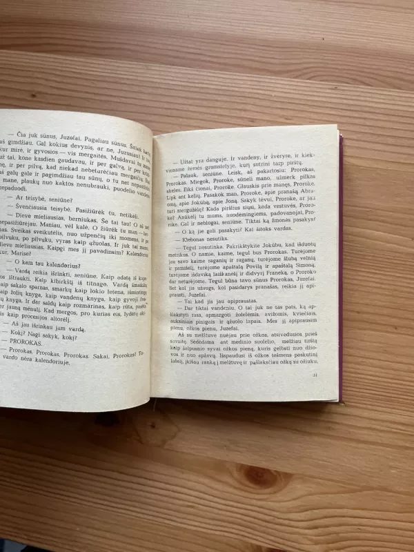 Velniai - Tadeušas Novakas, knyga 4