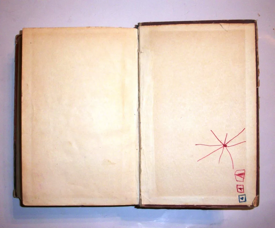 Egero žvaigždės - Geza Gardonis, knyga 6