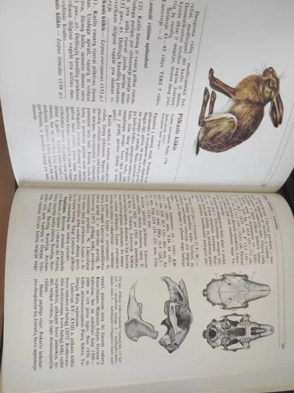 Lietuvos fauna. Žinduoliai - Autorių Kolektyvas, knyga 3