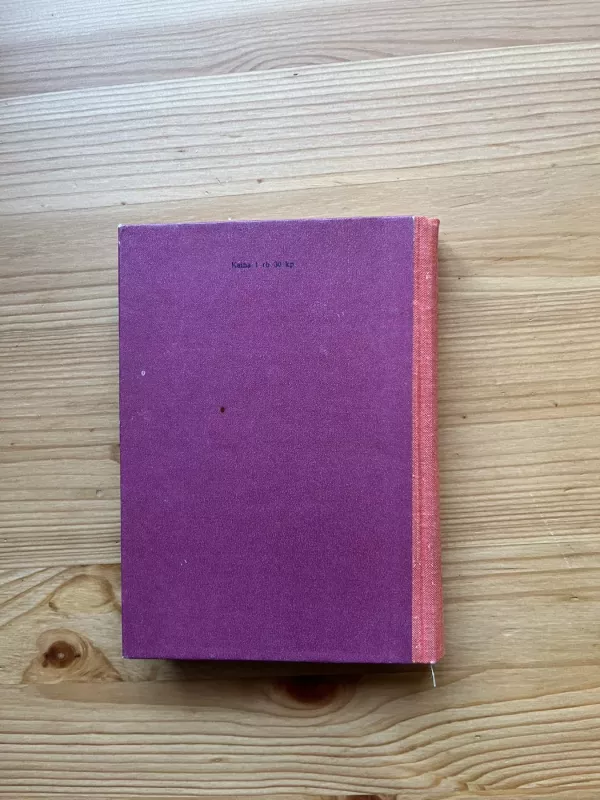 Velniai - Tadeušas Novakas, knyga 5