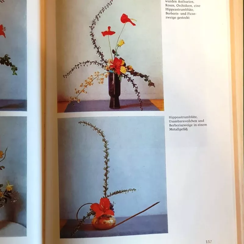 Gėlių išdėstymas - Autorius nenurodomas, knyga 6