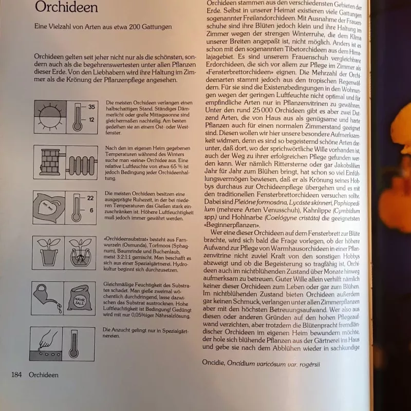 Kambariniai augalai - Autorius nenurodomas, knyga 6