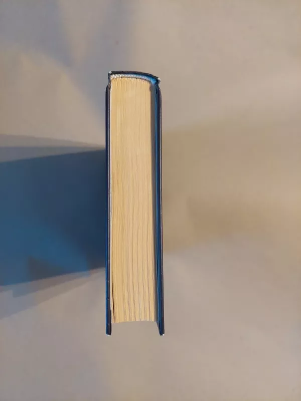 Rūkas virš slėnių - Romualdas Granauskas, knyga 3