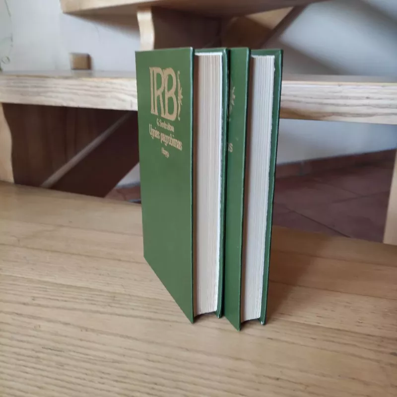 Ugnies pagrobimas. I ir II dalys - Galina Serebriakova, knyga 5