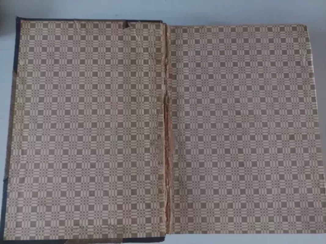 Lietuviškoji enciklopedija ( III tomas) - Vaclovas Biržiška, knyga 3