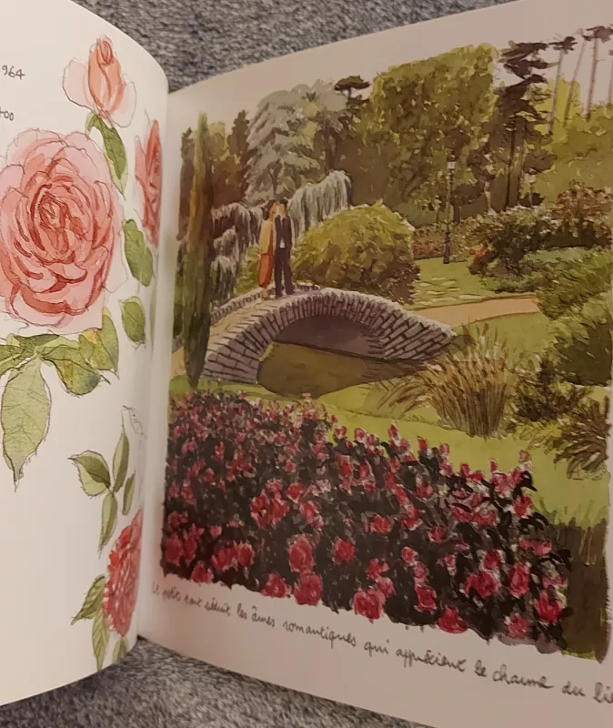 PARC DE LA TÊTE-D'OR - Vincent Desplanche, knyga 5