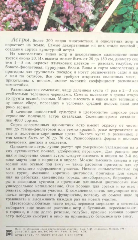 Atvirukų rink. "Dekoratyviniai augalai", 18 atvirukų, rusų k. - Autorių Kolektyvas, knyga 6