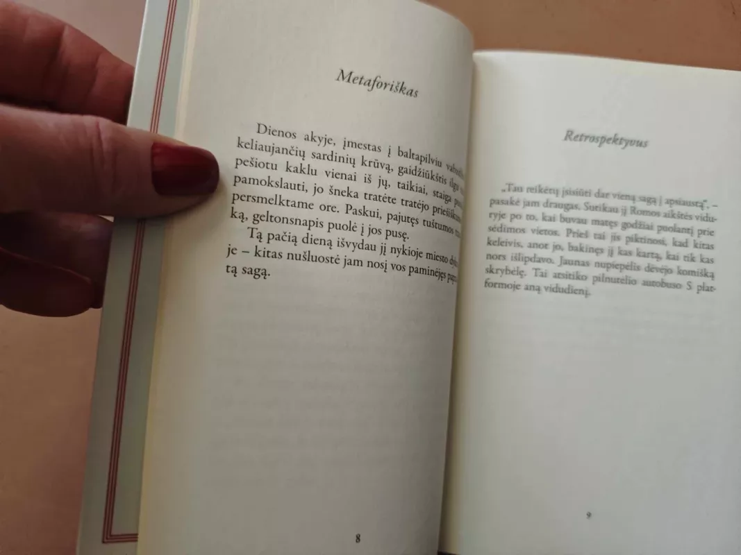 Stiliaus pratimai - Raymond Queneau, knyga 5