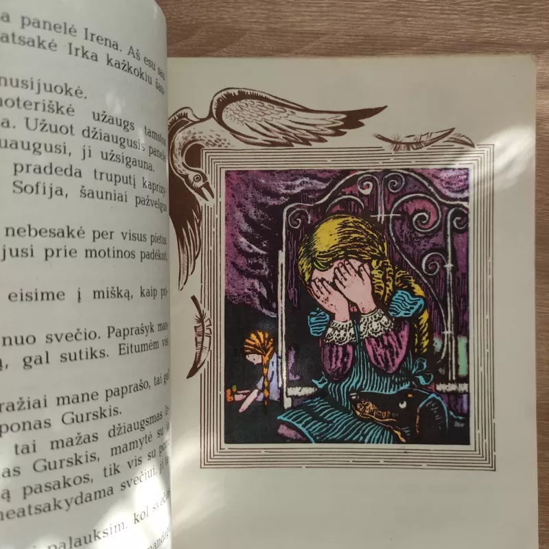 IRKOS TRAGEDIJA - Marija Pečkauskaitė-Šatrijos Ragana, knyga 4