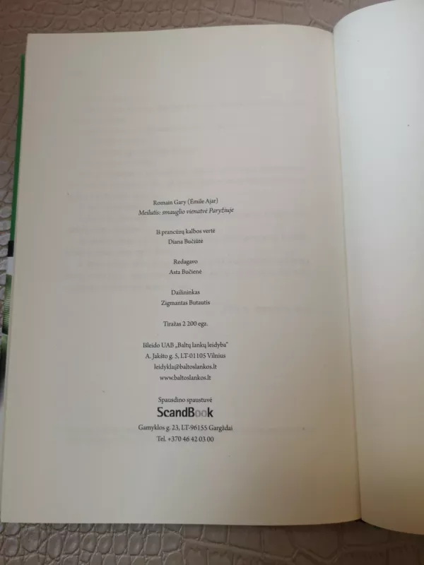 Meilutis: smauglio vienatvė Paryžiuje - Romain Gary, knyga 4