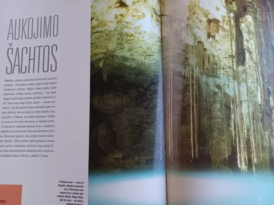 Pasaulio gamtos stebuklai - Adrian Glover, knyga 6