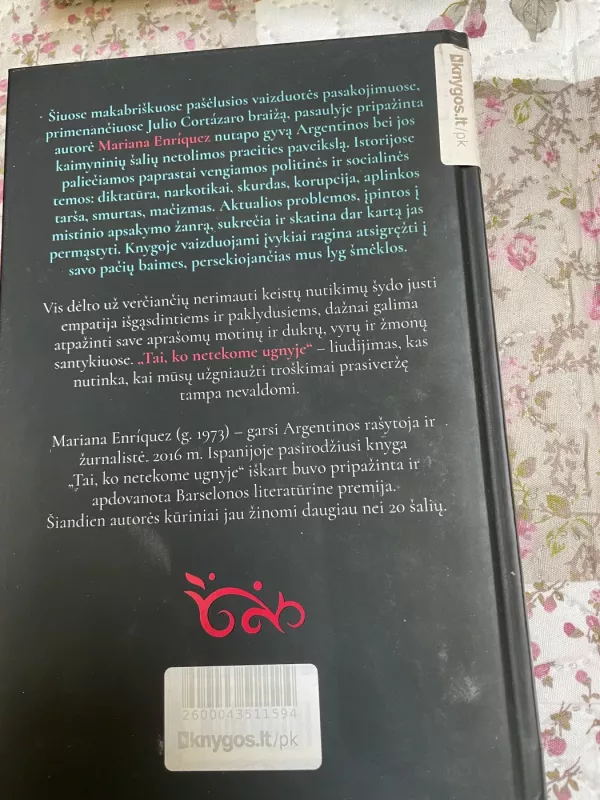 Tai, ko netekome ugnyje - Mariana Enriquez, knyga 3