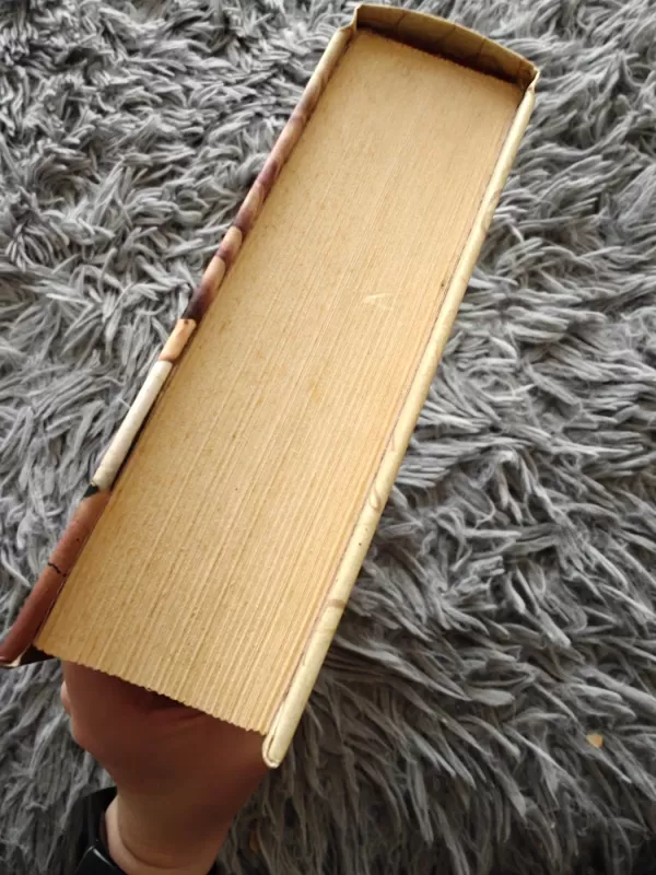 Ištikimoji karalienė - Philippa Gregory, knyga 3