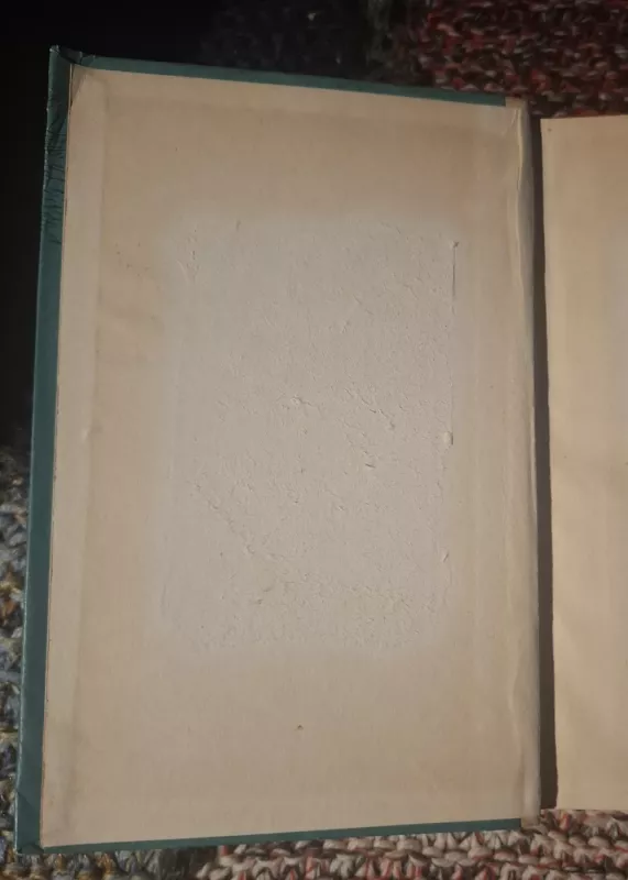 Baisioji gadynė - A. Fromas-Gužutis, knyga 4