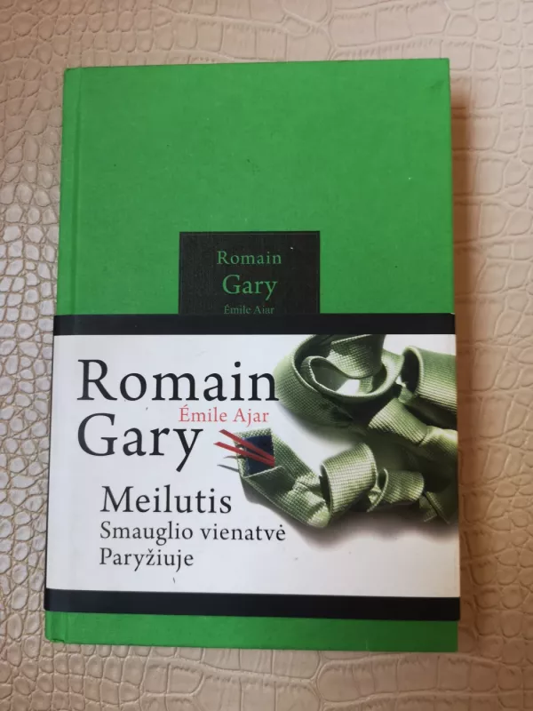 Meilutis: smauglio vienatvė Paryžiuje - Romain Gary, knyga 2