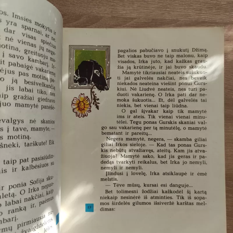 IRKOS TRAGEDIJA - Marija Pečkauskaitė-Šatrijos Ragana, knyga 5