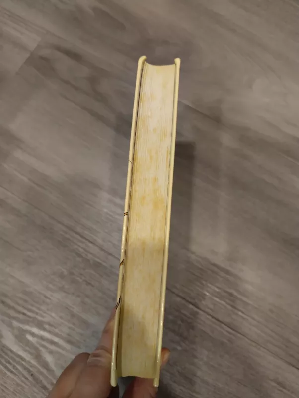 Padaužų kaimo vaikai - Astrid Lindgren, knyga 5