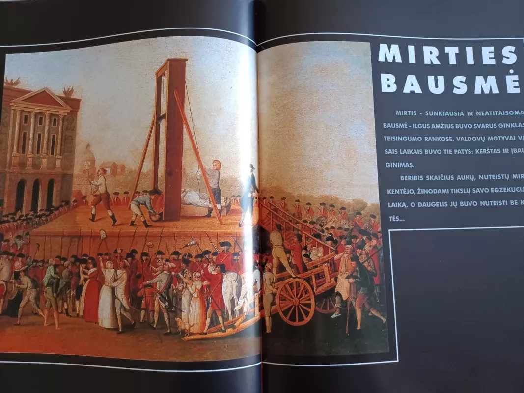 Tamsioji teisingumo pusė - Jaroslavas Banevičius, knyga 3