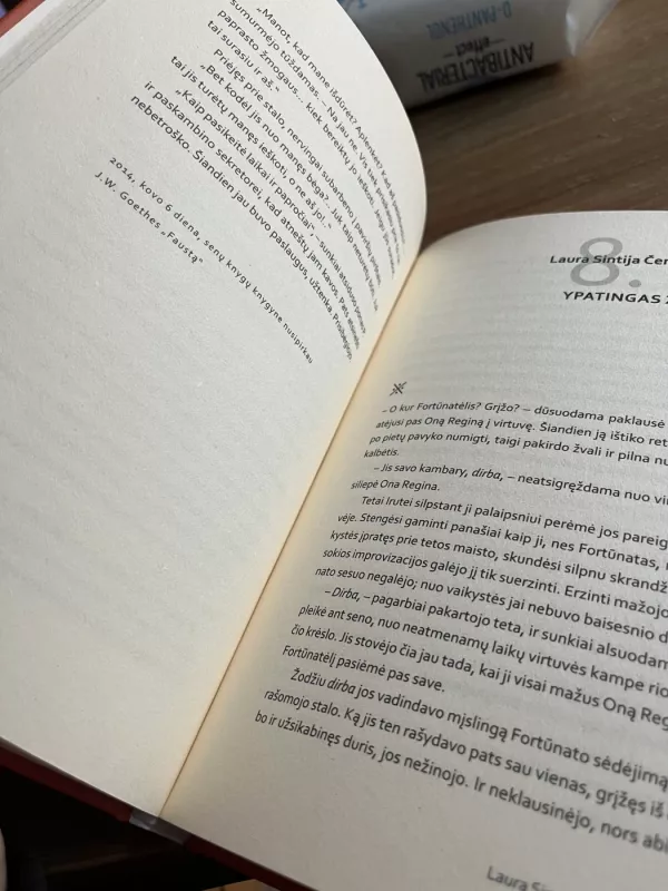 Hepi fjūčer - Renata Šerelytė, knyga 3