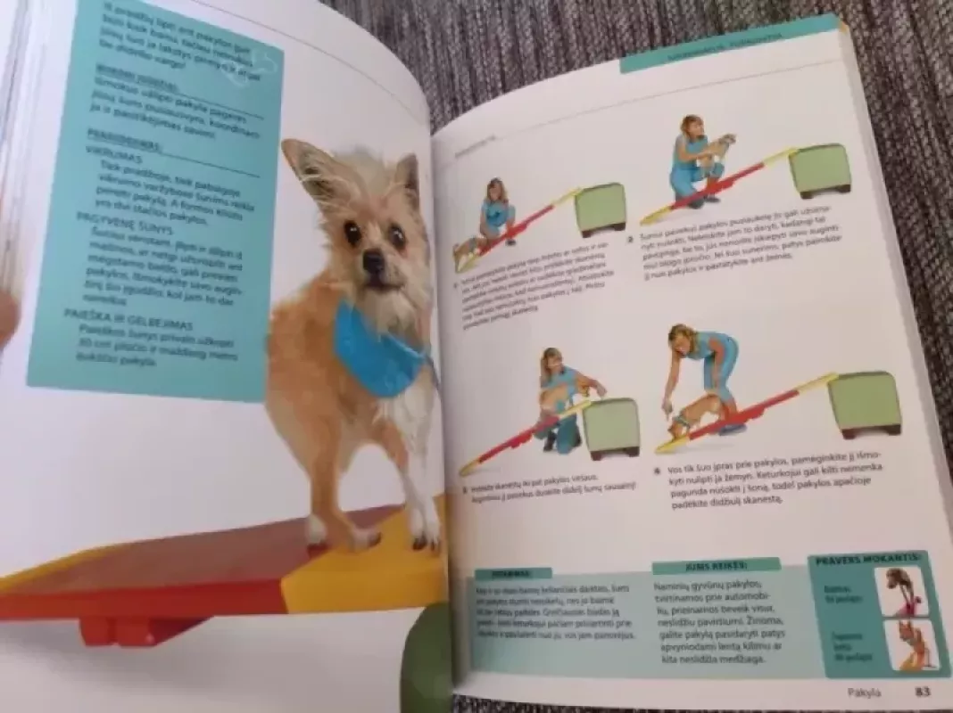 10-ties minučių šuns dresūros užsiėmimai - Kyra Sundance, knyga 4