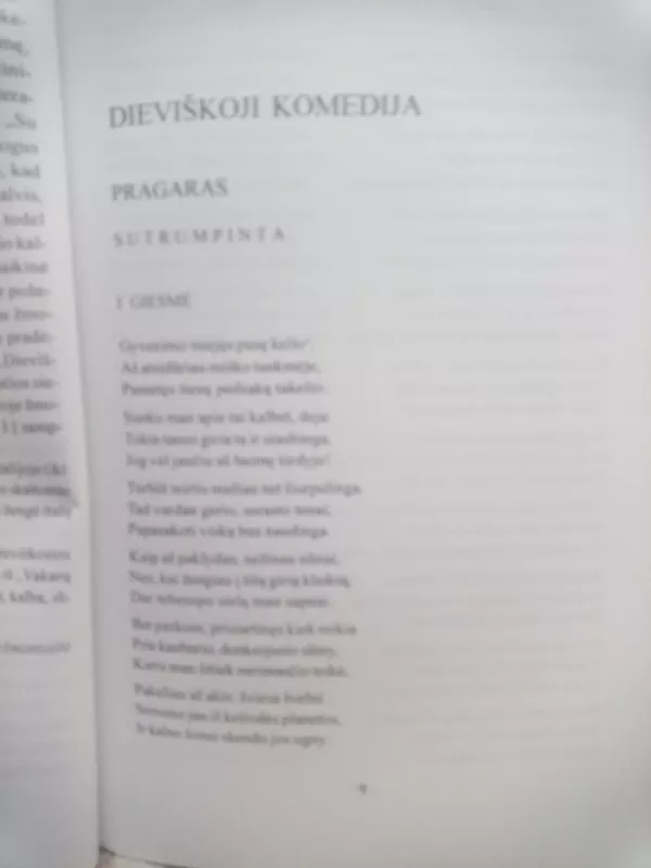 Dieviškoji komedija. Pragaras - Aligjeris Dantė, knyga 4