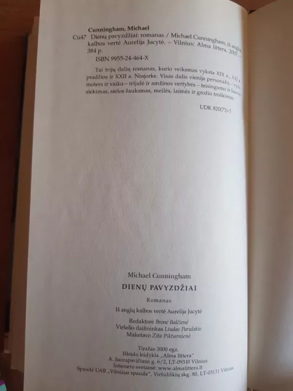 Dienų pavyzdžiai - Michael Cunningham, knyga 4