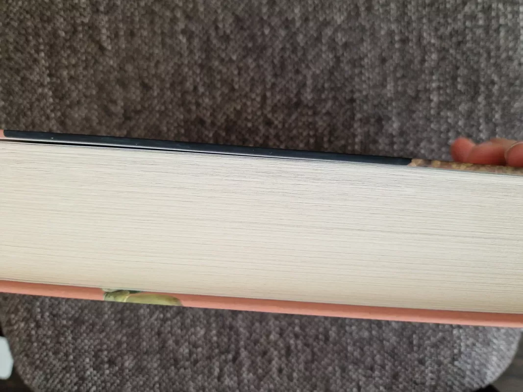 Kastamaro dvaro virėja - Fernando J. Múñez, knyga 3