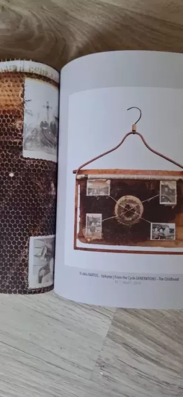 Vidinės atminties archyvas - Vaidotas Janulis, knyga 4