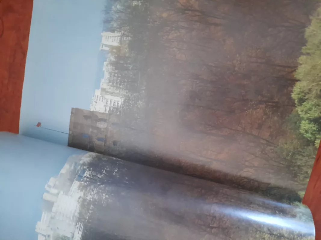 Vilnius - Algirdas Grubevičius, knyga 6