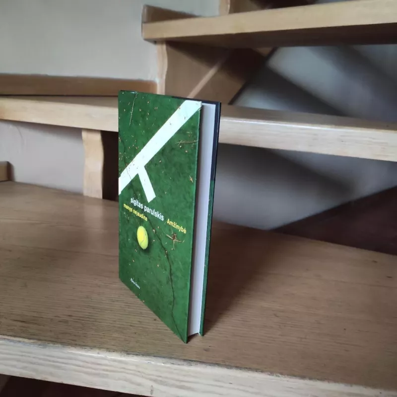 Amžinybė manęs nejaudina - Sigitas Parulskis, knyga 3