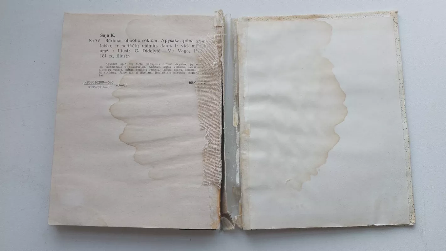 Būrimas obuolio sėklom - Kazys Saja, knyga 3