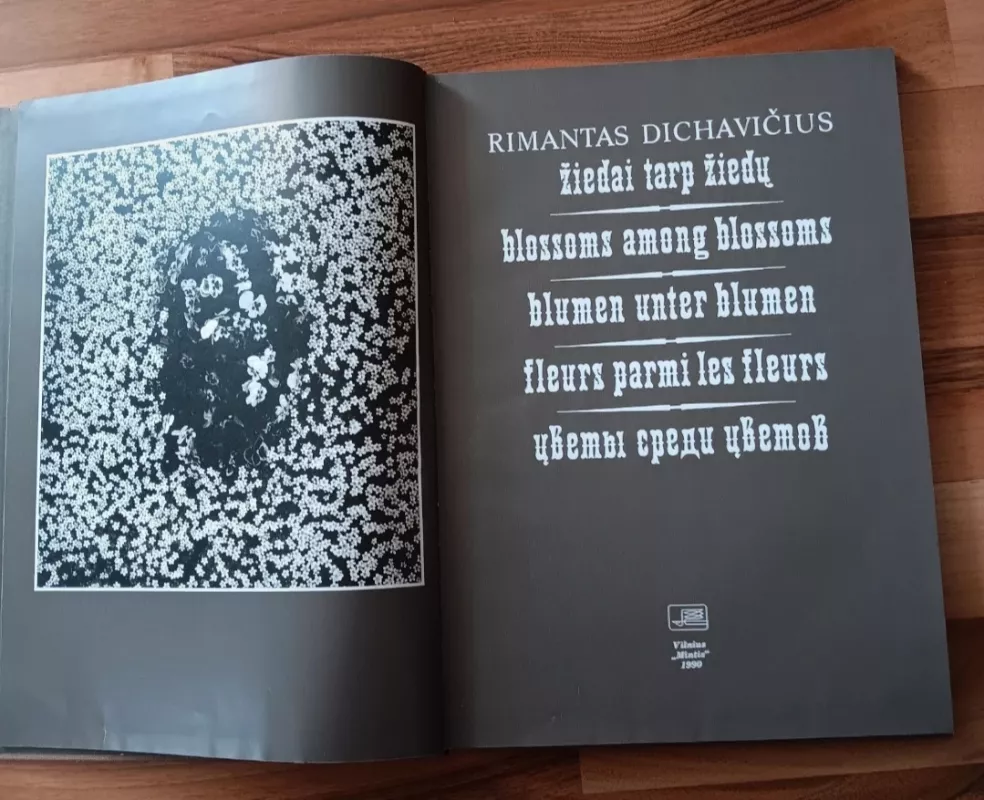 Žiedai tarp žiedų - Rimantas Dichavičius, knyga 3