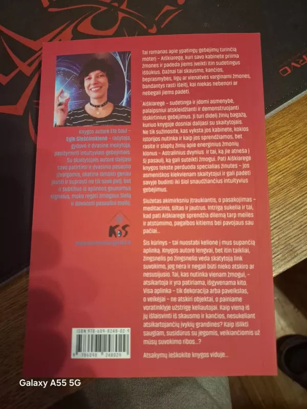 Aiškiaregė - Elė Soul, knyga 2