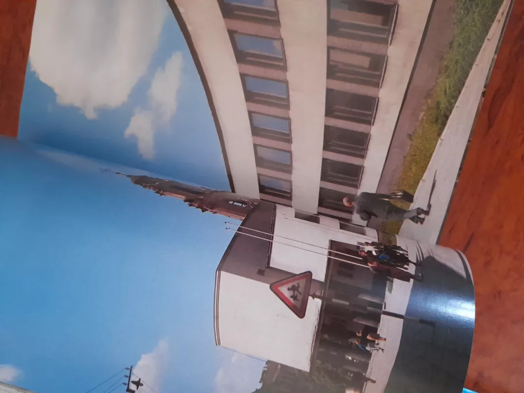 Vilnius - Algirdas Grubevičius, knyga 4