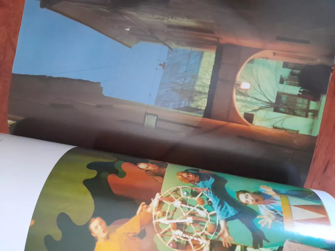 Vilnius - Algirdas Grubevičius, knyga 3